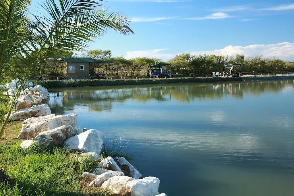 Camping Village Free Time Marina Di Bibbona 3*,