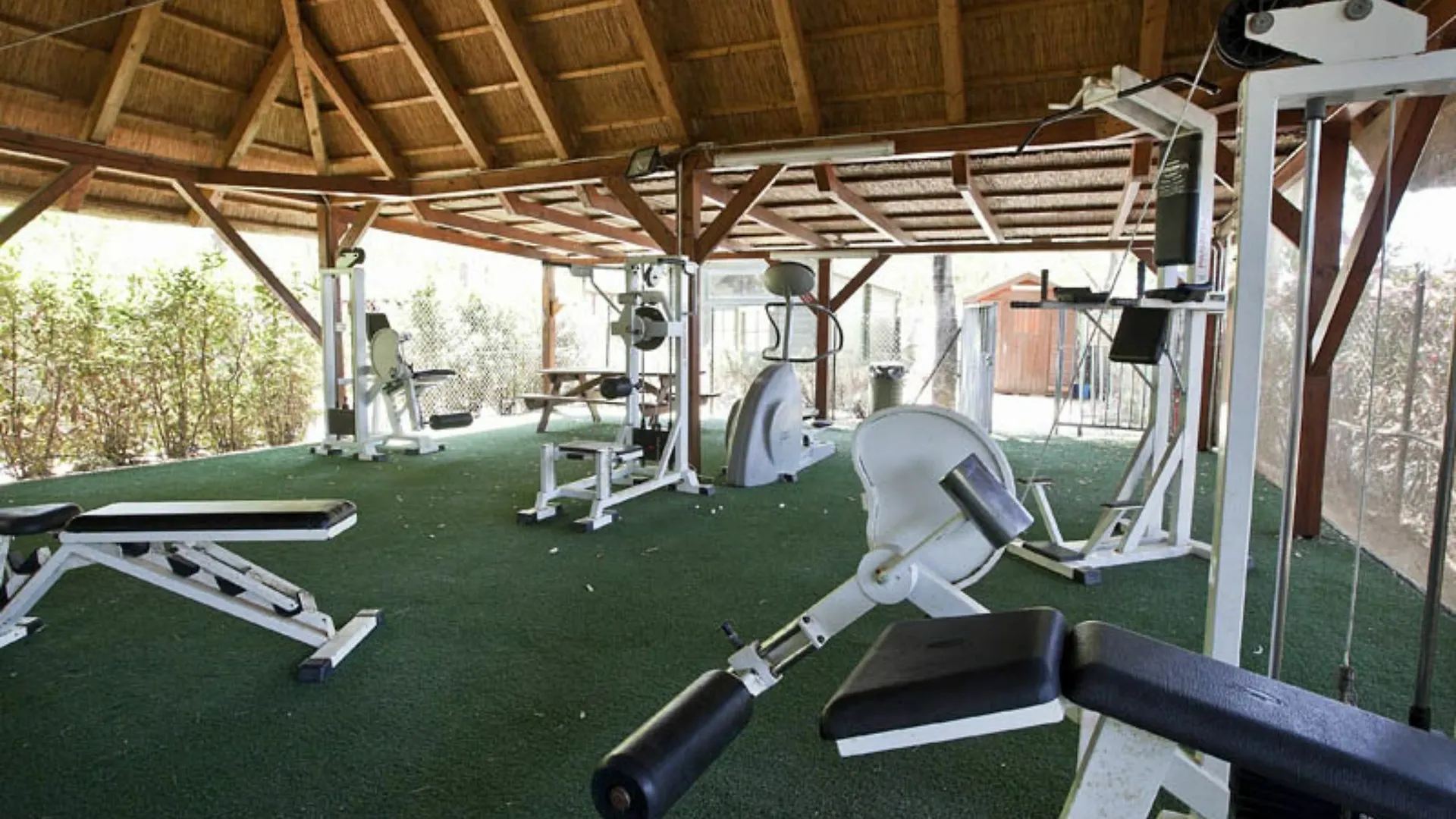 Camping Village Free Time Marina Di Bibbona